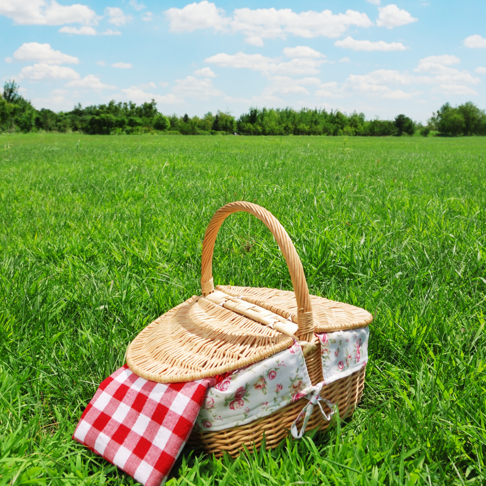 LUNCHY Picknick items. De zomerse dagen komen er aan en dat betekent picknicken! Maar wat heb je hier allemaal voor nodig? Lees hier meer over de picknick benodigdheden zodat jou picknick compleet zal zijn deze zomer. Ontdek de picknick kleden van lunchy